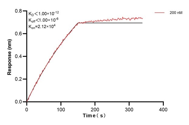 Affinity and Kinetic Characterization of 66145-2-PBS