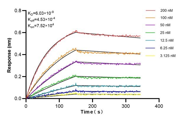 Affinity and Kinetic Characterization of 66197-2-PBS