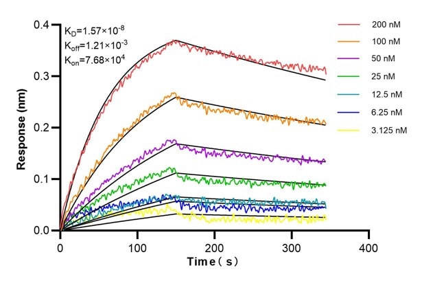 Affinity and Kinetic Characterization of 66219-2-PBS