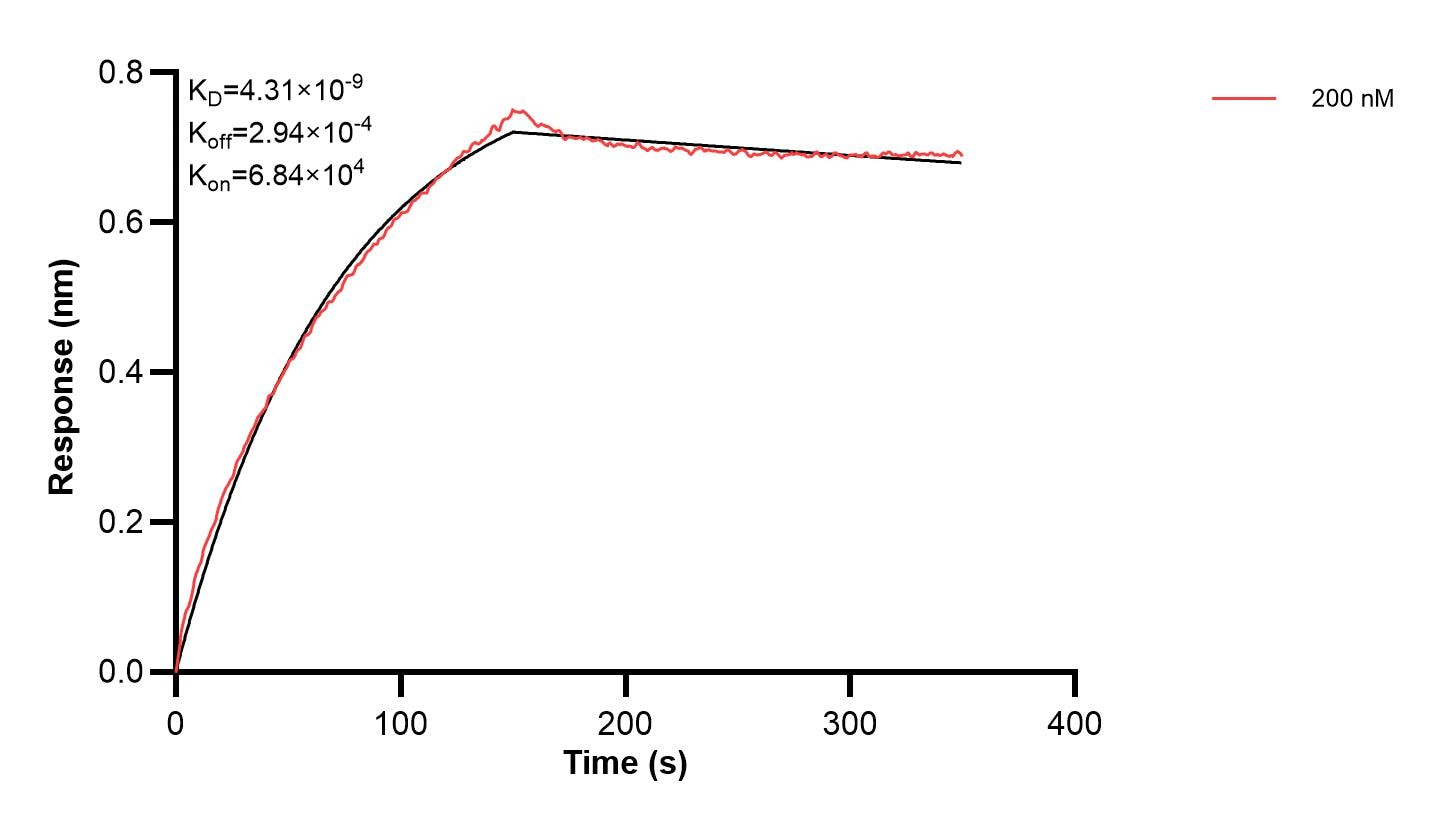Affinity and Kinetic Characterization of 66230-3-PBS Affinity and Kinetic Characterization of 66230-3-PBS