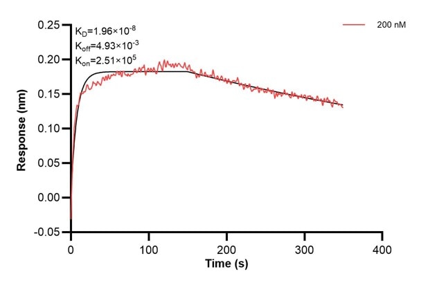 Affinity and Kinetic Characterization of 66276-2-PBS