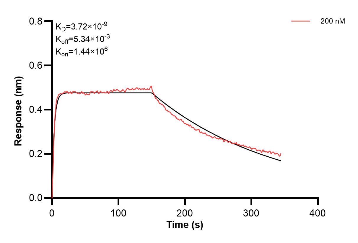 Affinity and Kinetic Characterization of 66378-2-PBS Affinity and Kinetic Characterization of 66378-2-PBS