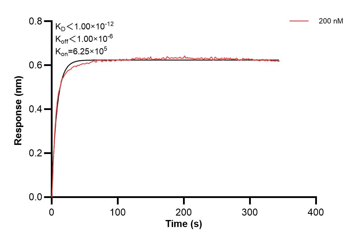 Affinity and Kinetic Characterization of 66378-3-PBS Affinity and Kinetic Characterization of 66378-3-PBS