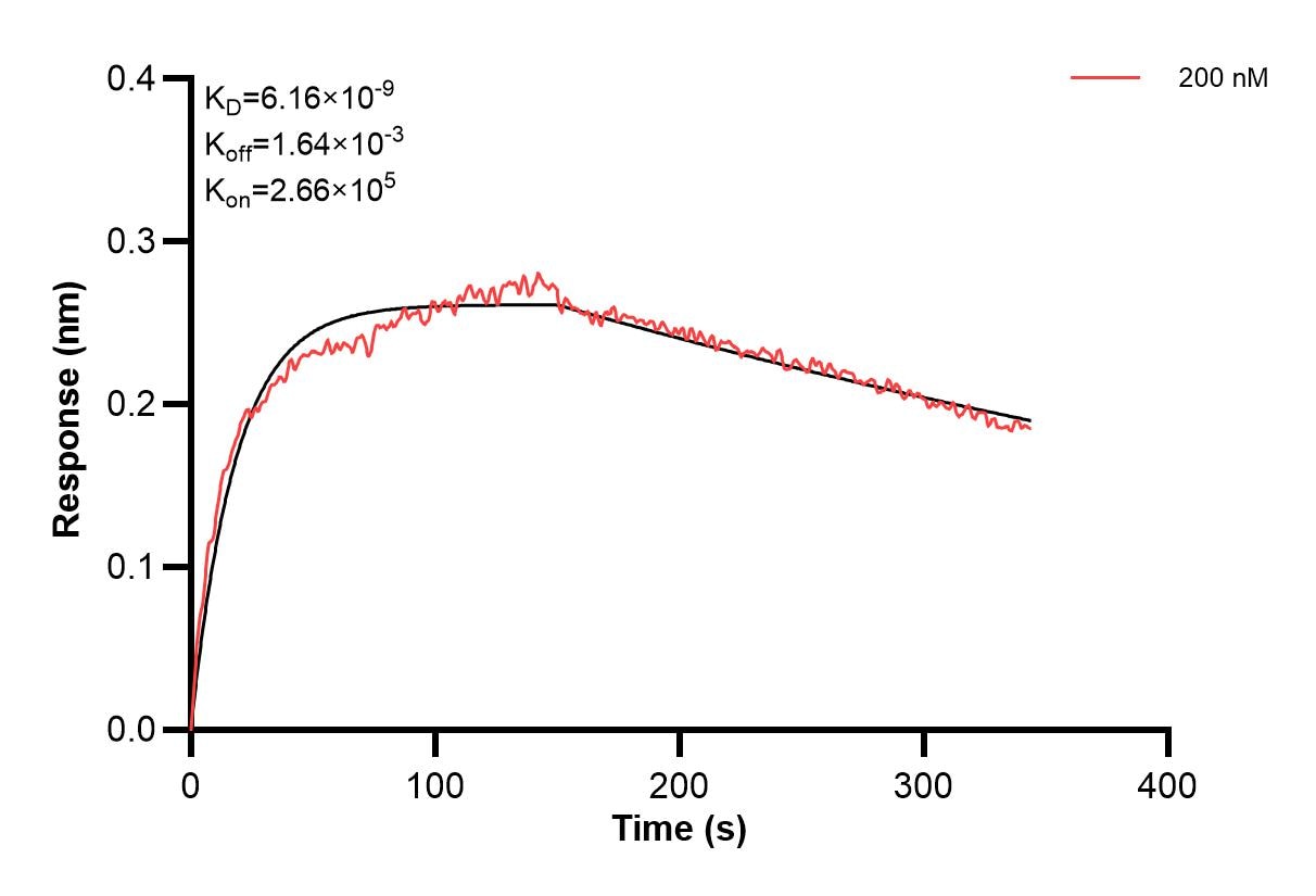Affinity and Kinetic Characterization of 66378-4-PBS