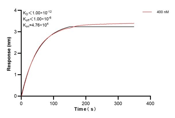 Affinity and Kinetic Characterization of 66380-2-PBS