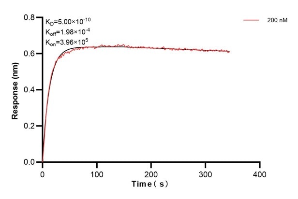 Affinity and Kinetic Characterization of 66418-3-PBS