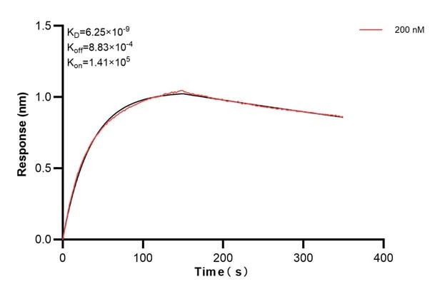 Affinity and Kinetic Characterization of 66449-2-PBS