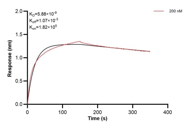 Affinity and Kinetic Characterization of 66497-2-PBS Affinity and Kinetic Characterization of 66497-2-PBS