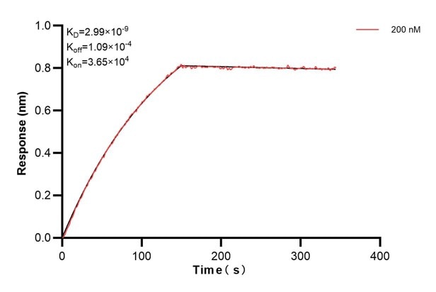 Affinity and Kinetic Characterization of 66501-1-Ig