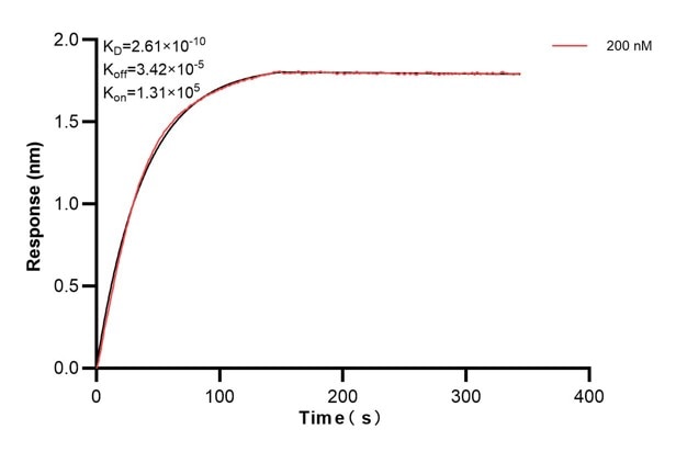 Affinity and Kinetic Characterization of 66501-3-PBS
