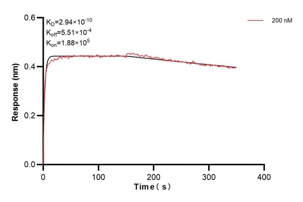 Affinity and Kinetic Characterization of 66571-1-Ig