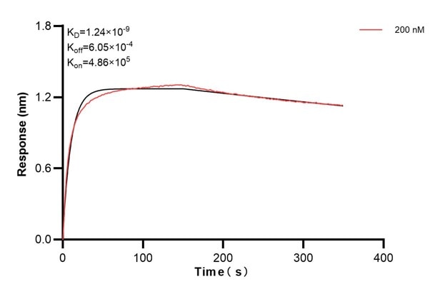 Affinity and Kinetic Characterization of 66571-2-PBS