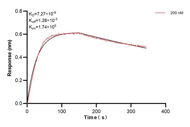 Affinity and Kinetic Characterization of 66597-2-PBS