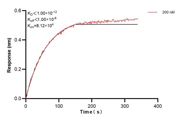 Affinity and Kinetic Characterization of 66608-2-PBS