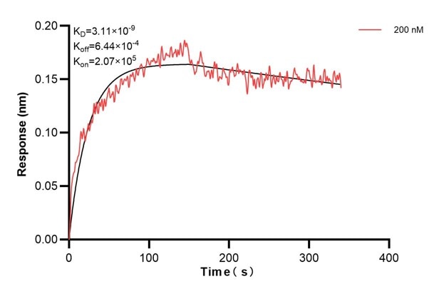 Affinity and Kinetic Characterization of 66608-3-PBS