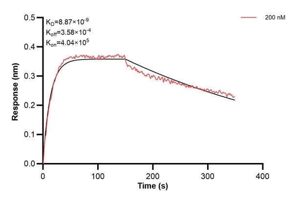 Affinity and Kinetic Characterization of 66622-1-Ig