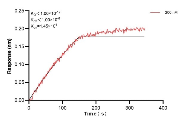 Affinity and Kinetic Characterization of 66659-3-PBS