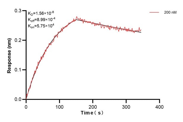 Affinity and Kinetic Characterization of 66669-5-PBS