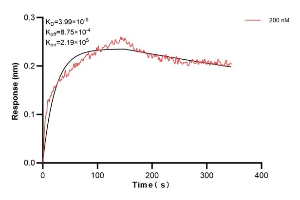 Affinity and Kinetic Characterization of 66669-6-PBS