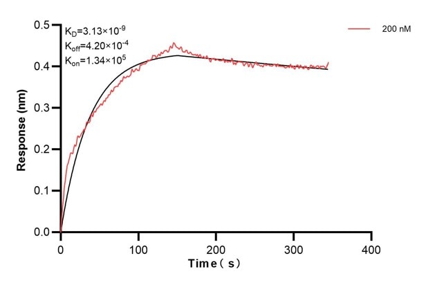 Affinity and Kinetic Characterization of 66669-7-PBS