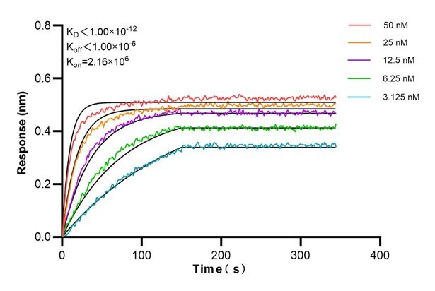 Affinity and Kinetic Characterization of 66682-2-PBS