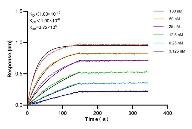 Affinity and Kinetic Characterization of 66682-4-PBS