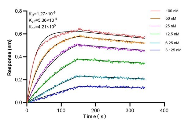 Affinity and Kinetic Characterization of 66682-5-PBS