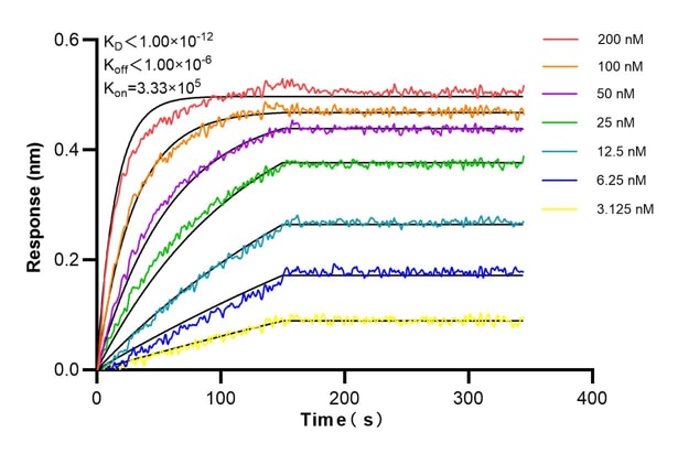 Affinity and Kinetic Characterization of 66682-6-PBS