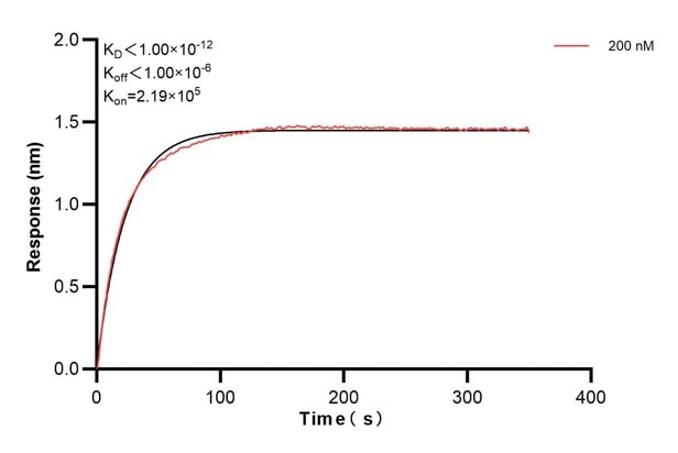 Affinity and Kinetic Characterization of 66684-2-PBS