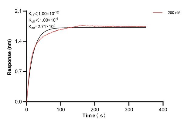 Affinity and Kinetic Characterization of 66684-4-PBS