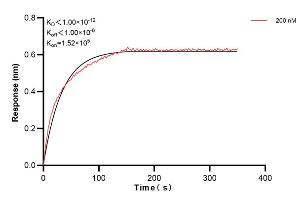 Affinity and Kinetic Characterization of 66747-5-PBS