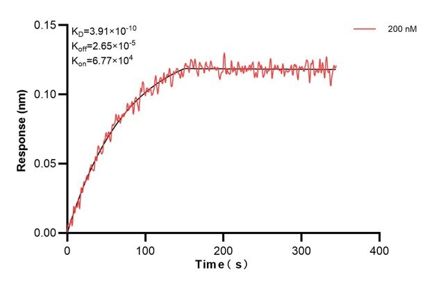 Affinity and Kinetic Characterization of 66761-3-PBS