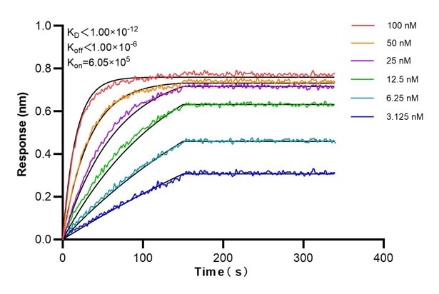 Affinity and Kinetic Characterization of 66779-2-PBS