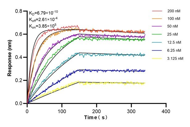 Affinity and Kinetic Characterization of 66779-3-PBS
