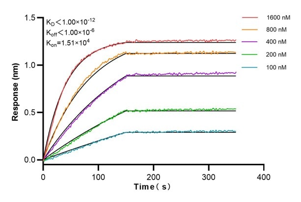 Affinity and Kinetic Characterization of 66810-3-PBS