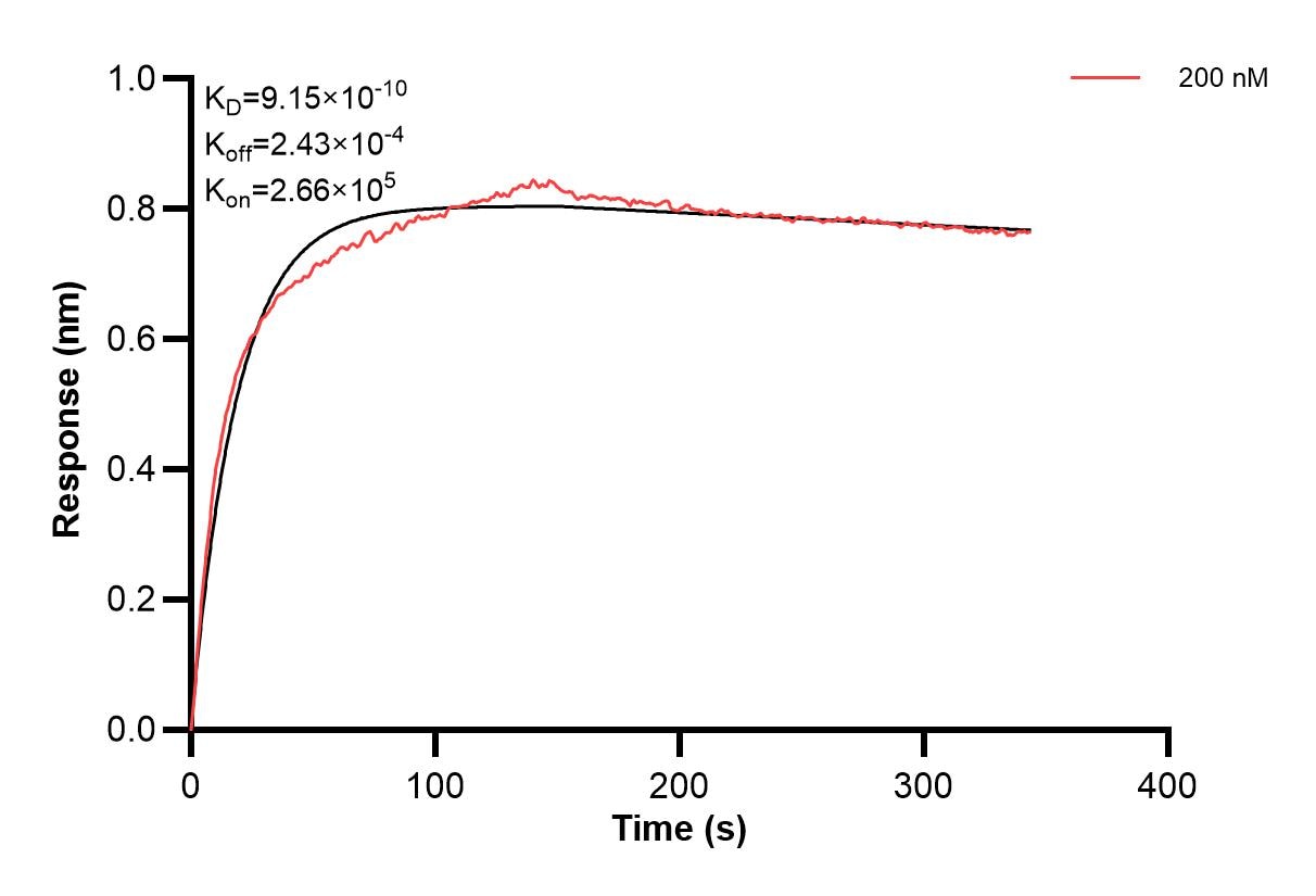 Affinity and Kinetic Characterization of 66835-3-PBS