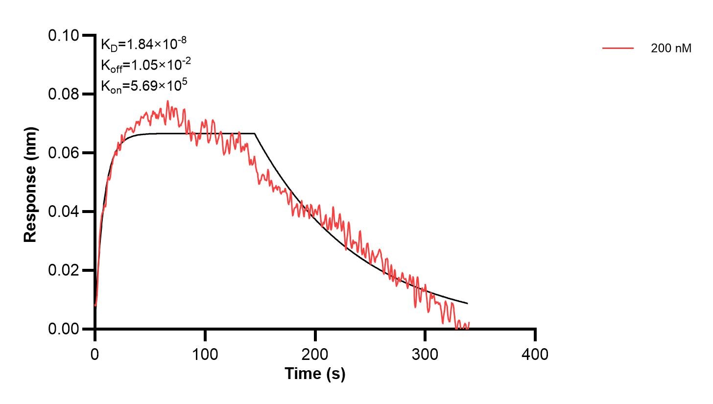 Affinity and Kinetic Characterization of 66836-2-PBS Affinity and Kinetic Characterization of 66836-2-PBS