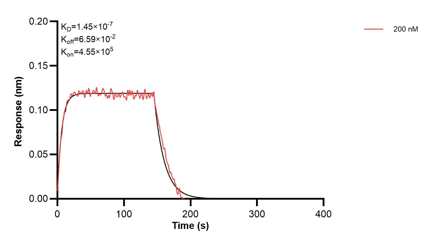 Affinity and Kinetic Characterization of 66836-3-PBS Affinity and Kinetic Characterization of 66836-3-PBS