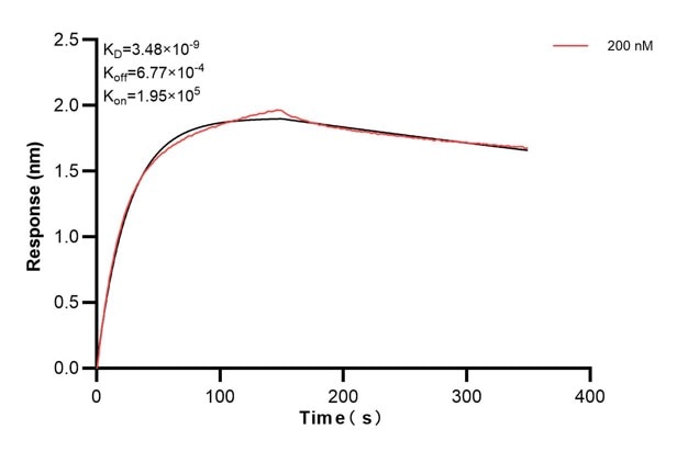 Affinity and Kinetic Characterization of 66846-2-PBS