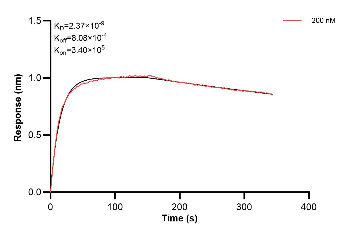Affinity and Kinetic Characterization of 66860-1-PBS Affinity and Kinetic Characterization of 66860-1-PBS
