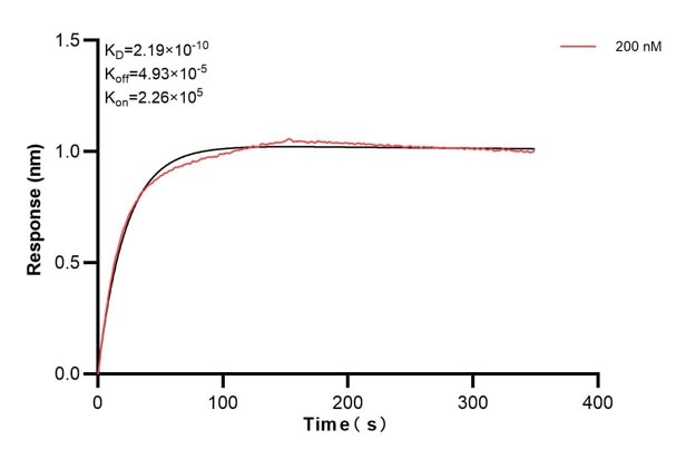 Affinity and Kinetic Characterization of 66860-2-PBS