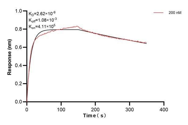 Affinity and Kinetic Characterization of 66860-3-PBS