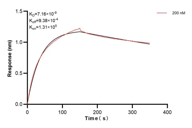 Affinity and Kinetic Characterization of 66860-5-PBS