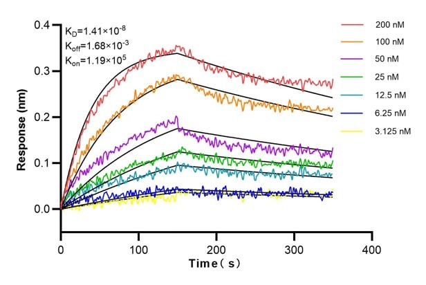 Affinity and Kinetic Characterization of 66867-3-PBS