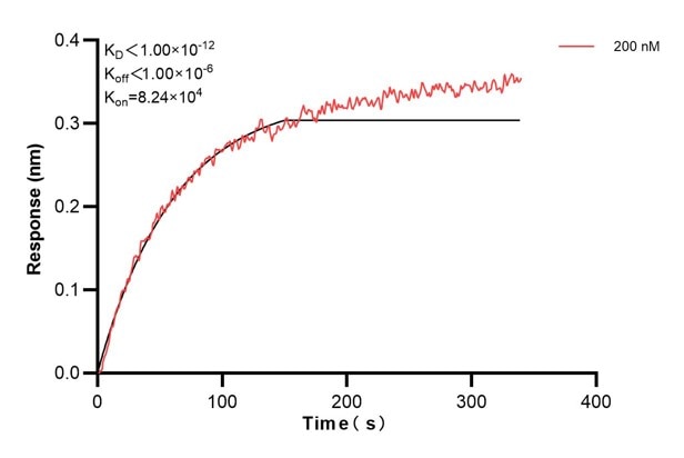 Affinity and Kinetic Characterization of 66869-2-PBS