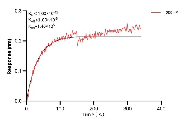 Affinity and Kinetic Characterization of 66869-3-PBS