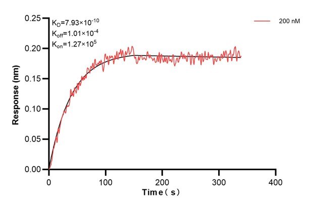 Affinity and Kinetic Characterization of 66869-4-PBS