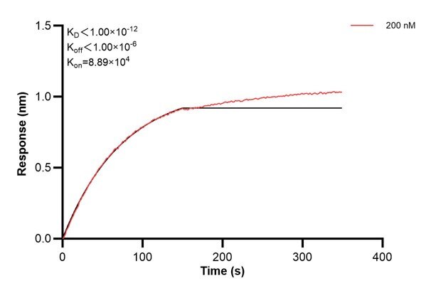 Affinity and Kinetic Characterization of 66899-2-PBS Affinity and Kinetic Characterization of 66899-2-PBS