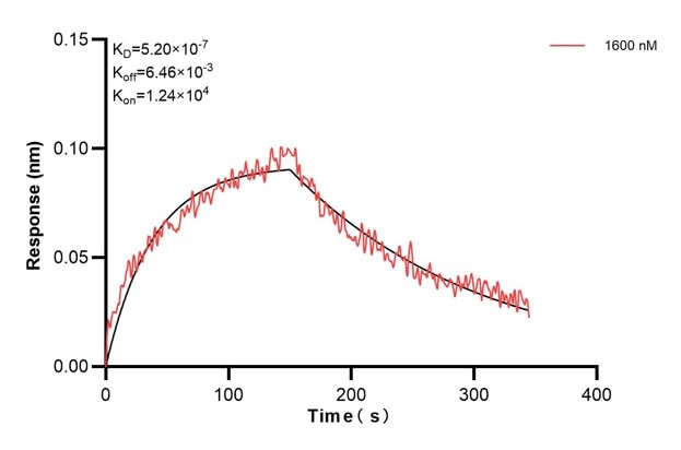 Affinity and Kinetic Characterization of 66913-4-PBS