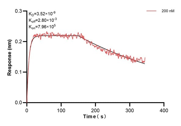 Affinity and Kinetic Characterization of 66914-2-PBS